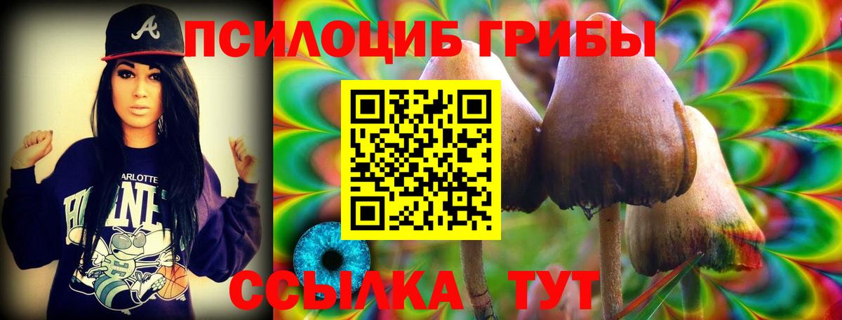 Псилоцибиновые грибы Magic Shrooms Кинель