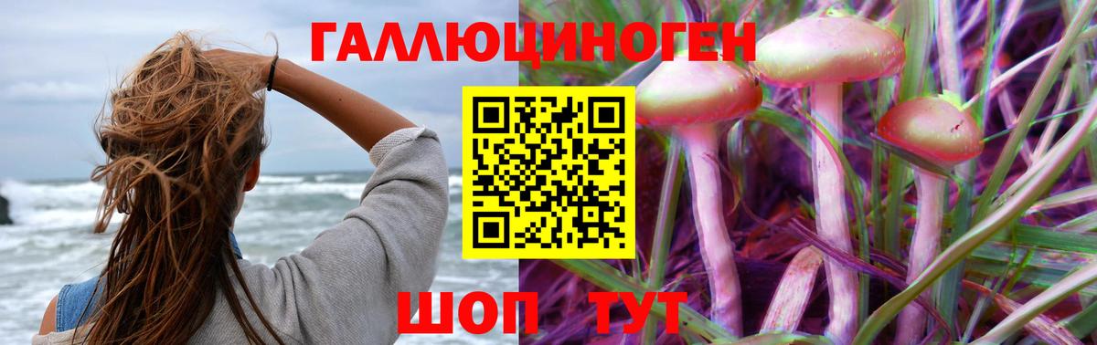 Кинель  Галлюциногенные грибы Magic Shrooms  Вход с VPN 
