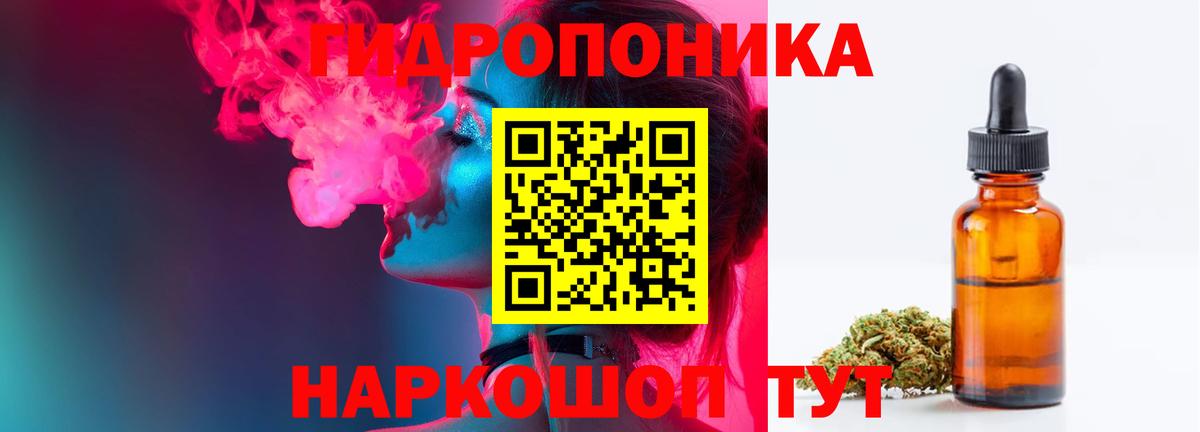 Шишки марихуана сатива Кинель